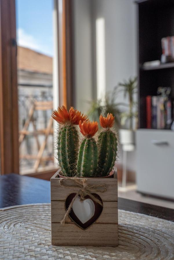 Apartman J&I Котор Екстер'єр фото